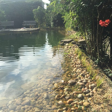 Natural Swimming Pool