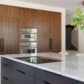 N44° 56' 06" | Bde Maka Ska | Modern Minneapolis Home