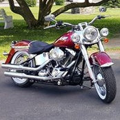 Lori Vorhis's photo