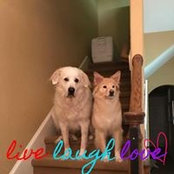 Michaelyn Drury's photo