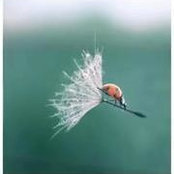 Stacey Comer's photo