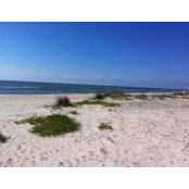 Mary-Lyon Jarman's photo