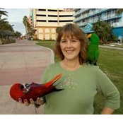 Deb Pauls billede