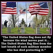 J Lyndsy Storer's photo