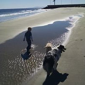 Judi Smith's photo