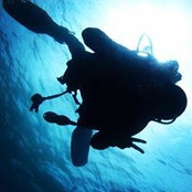 Vincent Selamat's photo