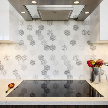 South Loop Highrise Kitchen Renovation