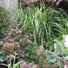 Gardens