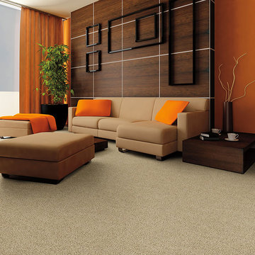 Fall Dabbieri Collection