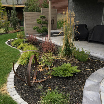 Privacy Screens
