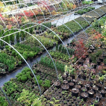 Oliver Nurseries - Hoop Houses in Autumn