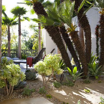 Mid-Century Modern; An Ode to Frey