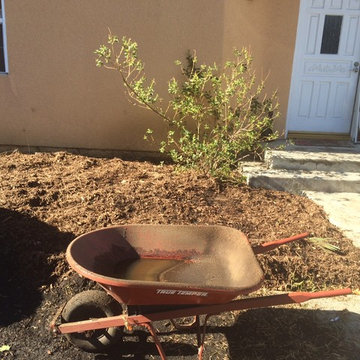 Reseda Home