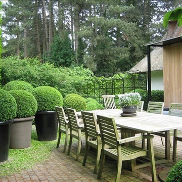 Cloud Pruning | Design | Pruning & Care