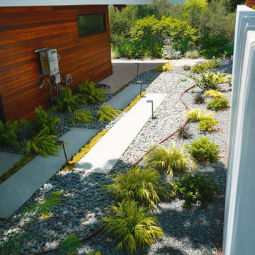 Backyard Hillside Drought-tolerant Design