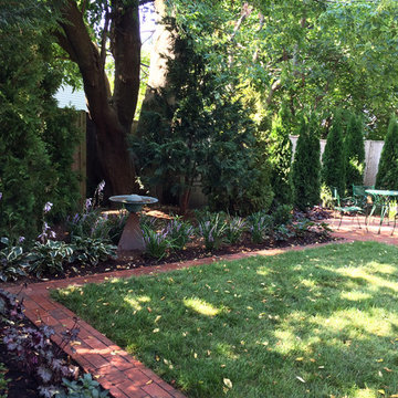 Urban Shade Garden