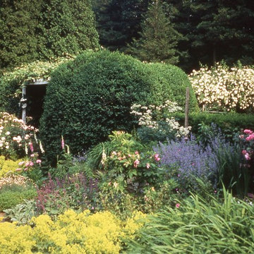 A New England Garden