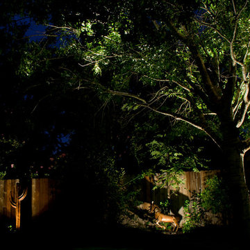 Back yard