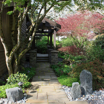 A Garden in the Forest