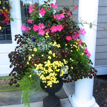 planters