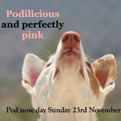 Daniela Simionescu's photo