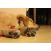 Andrea Oliveira Naufel's photo