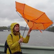 Alisa Baranskaya's photo