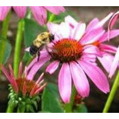 Kay Roland's photo