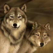Foto von Tonia Heath