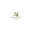 Green Acres Landscape, Inc.