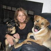 Shelley Cordle's photo