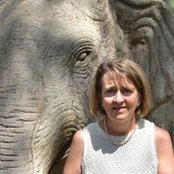 Cristine Van Dyke's photo