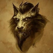 Foto di Kaos Wolf