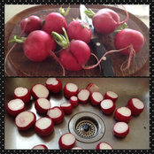 Kerrie Bloss's photo