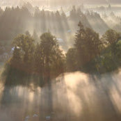 Paul Collins's photo