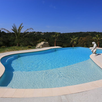 Piscine de forme libre