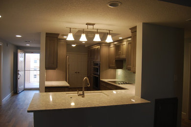 Inspiration for a contemporary kitchen remodel in Orlando
