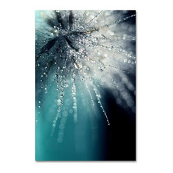 19 in. x 14 in. "Morning Sonata" by Beata Czyzowska Young Printed Canvas Wall Ar - Artwork