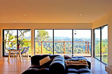 Living room - contemporary living room idea in San Francisco