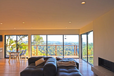 Home design - contemporary home design idea in San Francisco