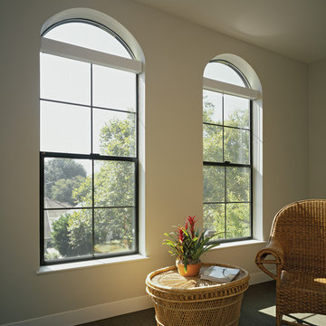 Contemporary, Modern Windows