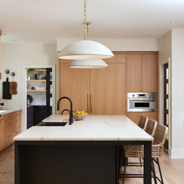 Minnetonka Remodel