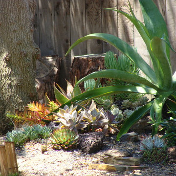 Costa Mesa 2011