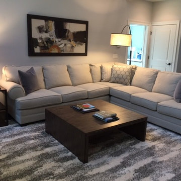 Montgomery Contemporary Family Room