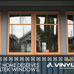 Double Nature Windows - Windows