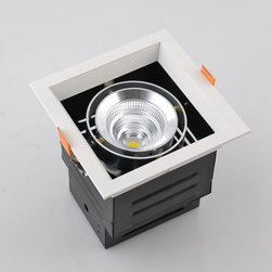 LED down light - Ceiling Lighting