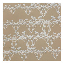 Accent Walls