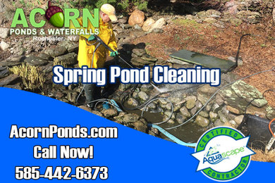 Koi Pond Maintenance & Repair|Greece (NY) New York|Acorn Ponds & Waterfalls