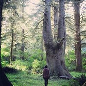 Abby Urias's photo