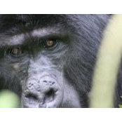 Scott Miller's photo
